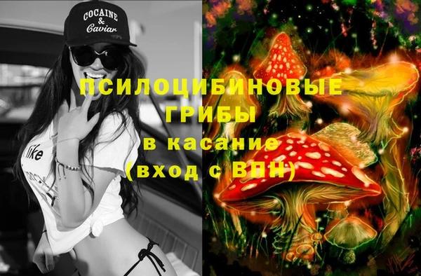 стаф Балахна