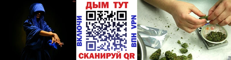 Канабис семена  Верея 